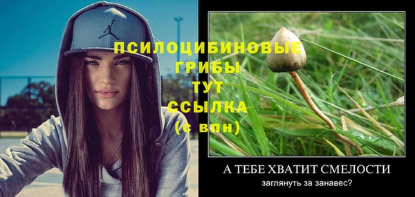 apvp Абинск