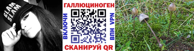 Галлюциногенные грибы мухоморы  Россошь 